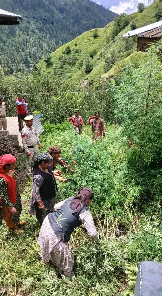 WhatsApp Image 2025-07-17 at 19.33.09_07872095