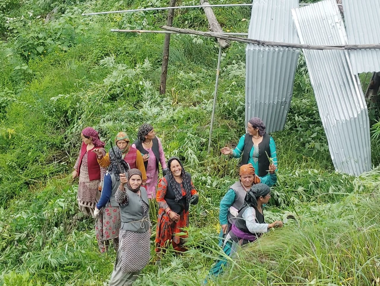 WhatsApp Image 2025-07-17 at 19.33.12_d9fcec2b