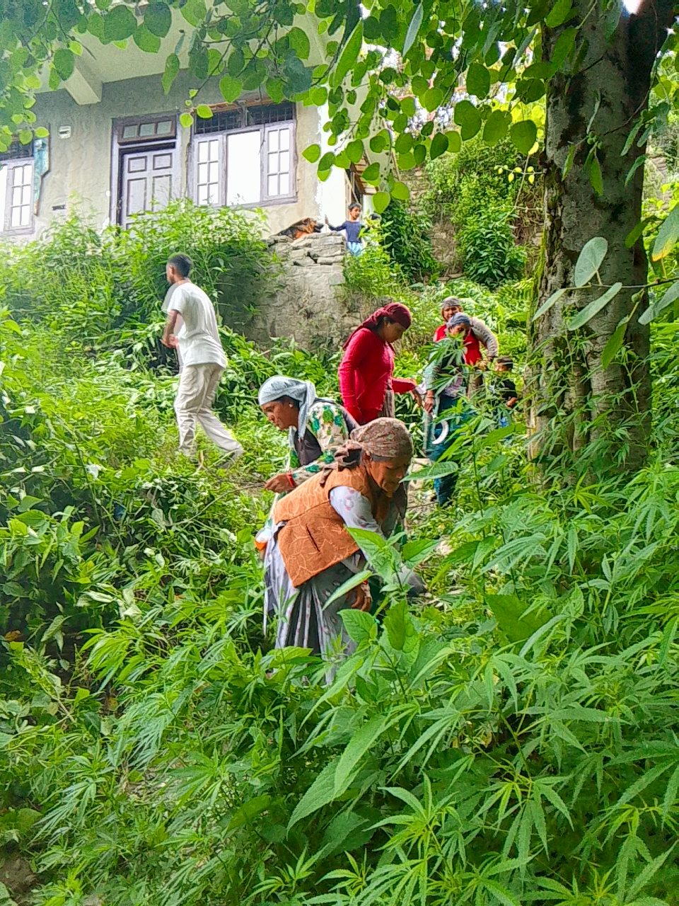 WhatsApp Image 2025-08-31 at 17.40.54_f04479fc