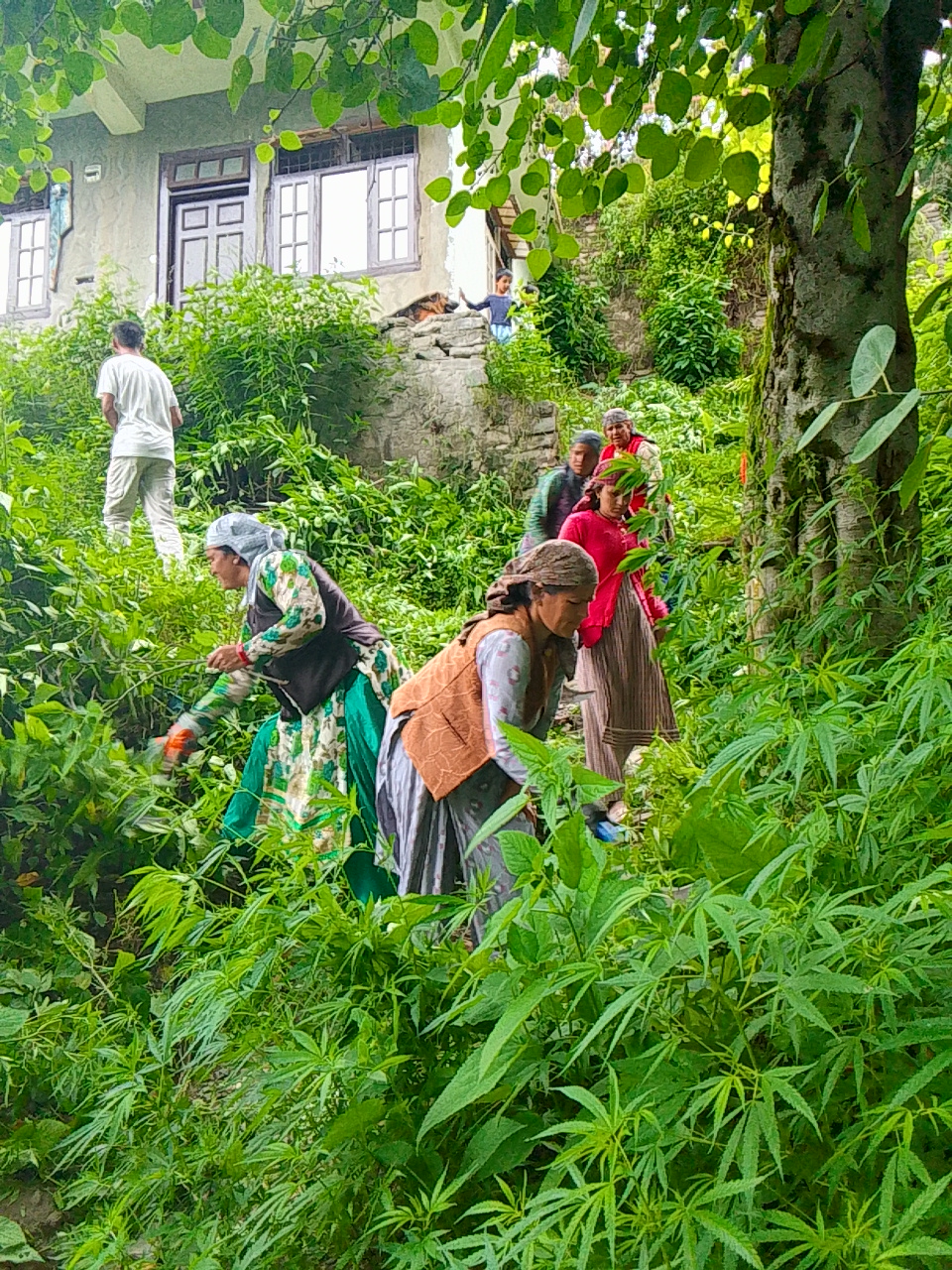 WhatsApp Image 2025-08-31 at 17.40.55_bbcf8304